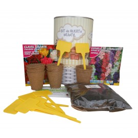 Kit de huerto infantil con semilleros, tierra turba, Espuela de Caballero, clavel gigante, y marcaje de semilleros