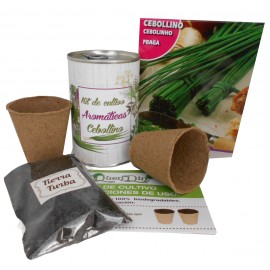 Kit de cultivo Cebollino en lata