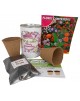 Kit de cultivo flores Campestre en lata